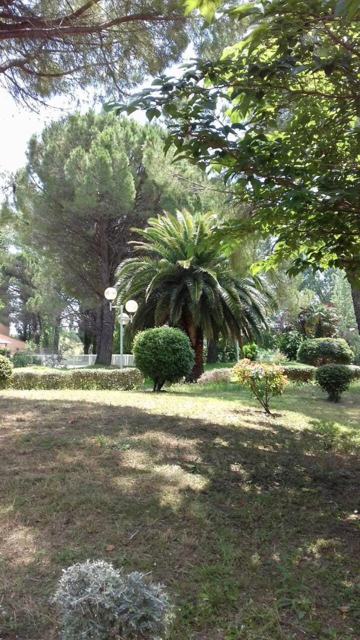 COCON en Camargue Apartment in Arles