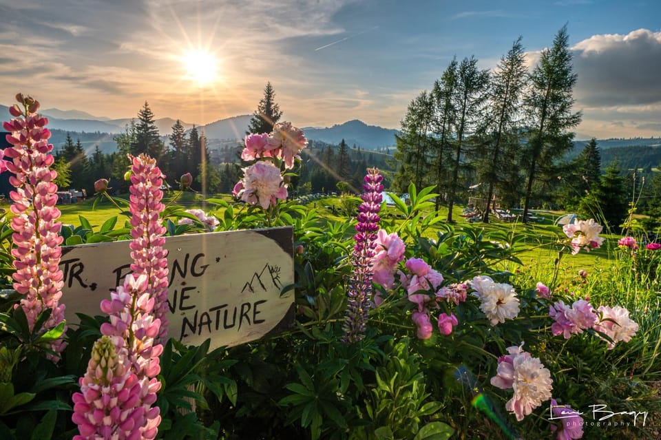 Day, Natural landscape