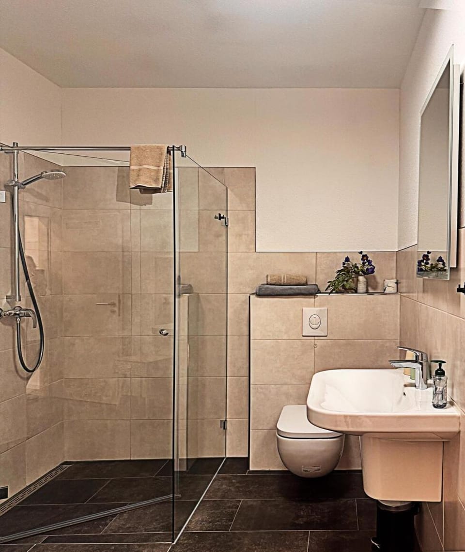 Shower, Toilet, Bathroom, towels