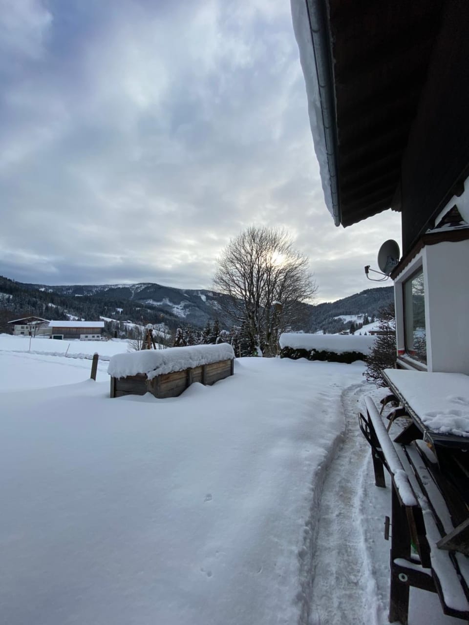 Winter