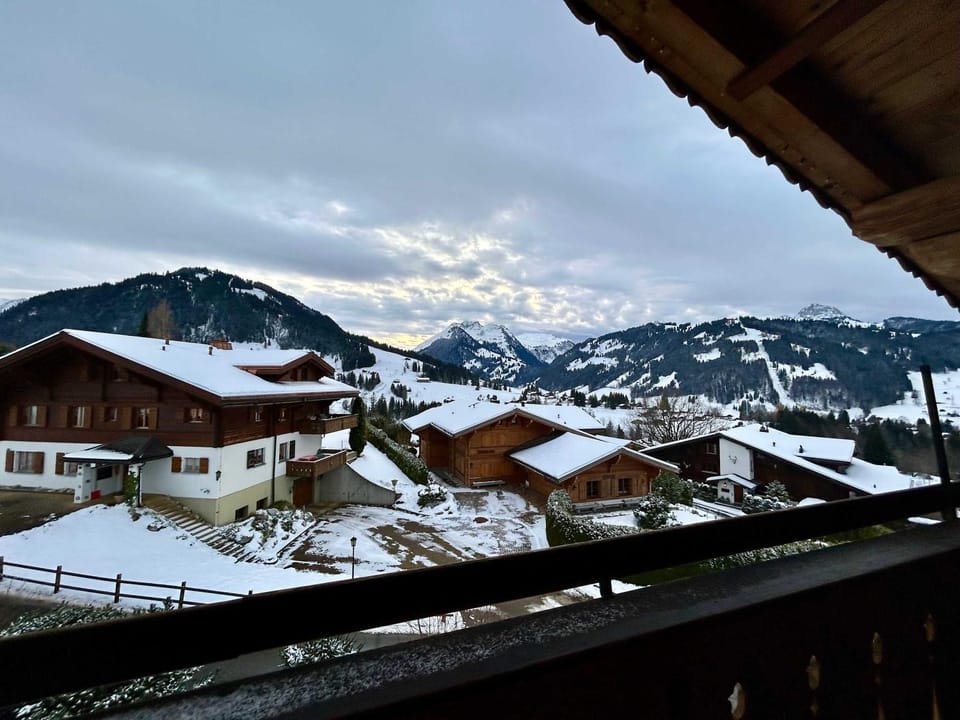 Gstaad Blue Sky Chalet with stunning views Apartment in Saanen