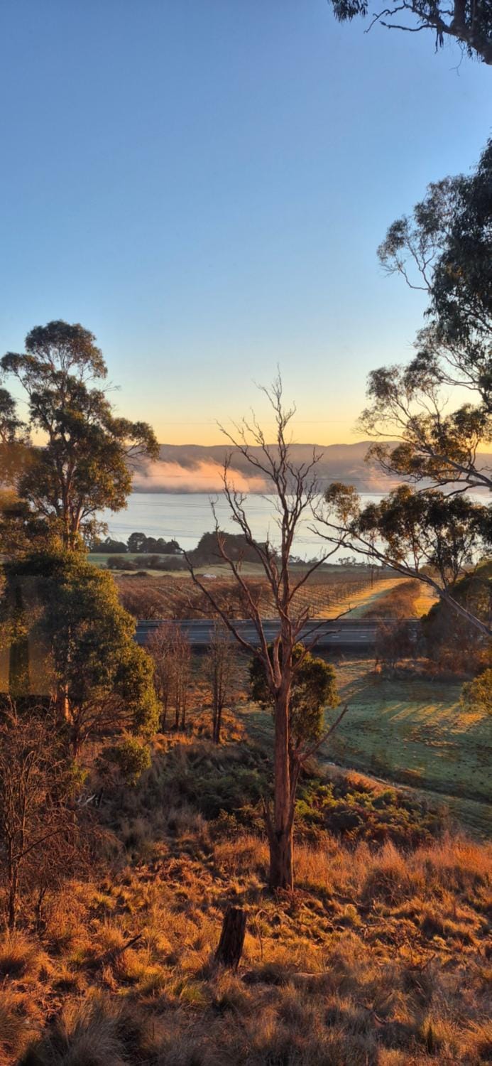 Tamar Tonic - Lush River Views House in Grindelwald