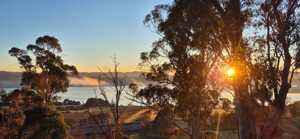 Tamar Tonic - Lush River Views House in Grindelwald