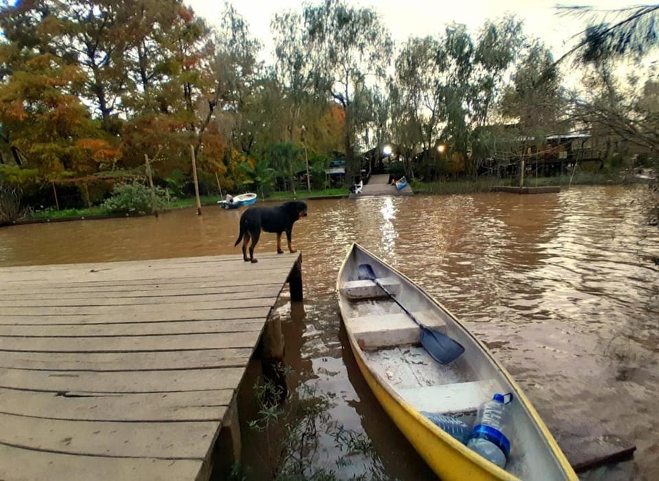 Cabaña los sauces House in Tigre