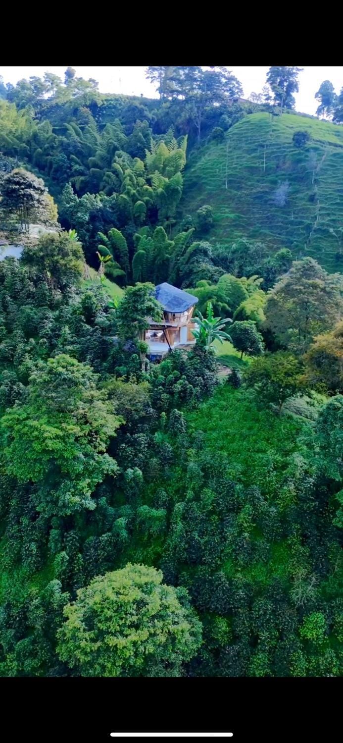 Moonshine - Sereno Glamping Luxury tent in Manizales