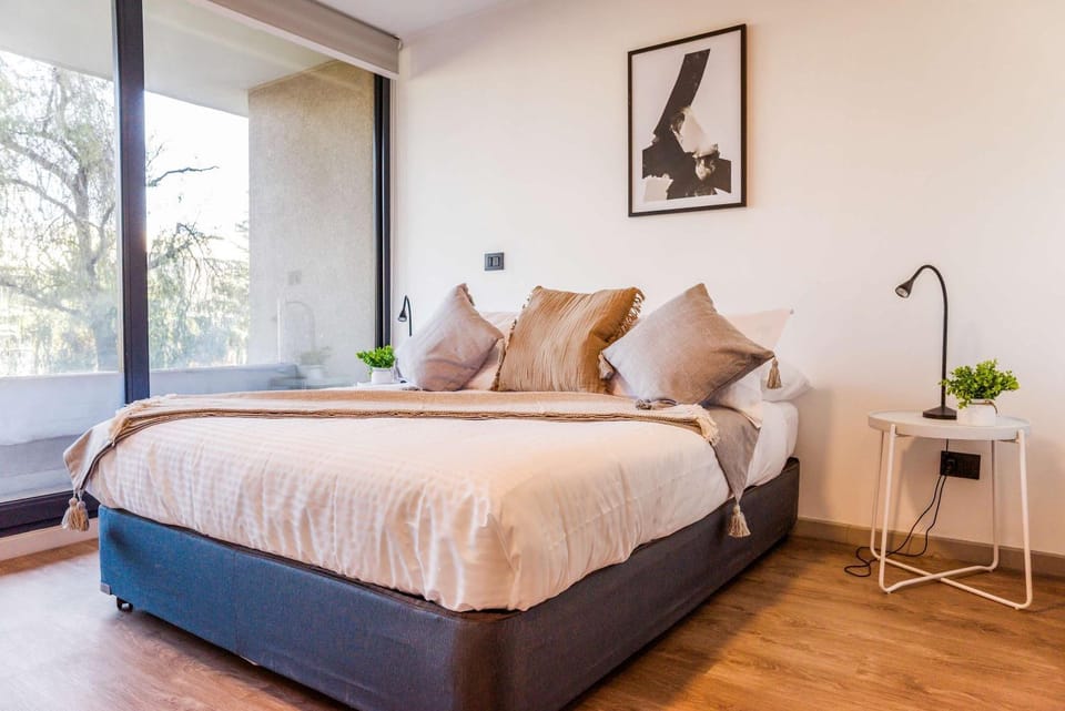 Chic 1-Bedroom Retreat in Providencia Apartment in Providencia