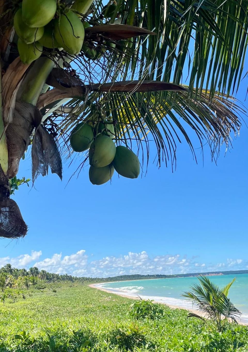 Nearby landmark, Natural landscape, Beach, Sea view