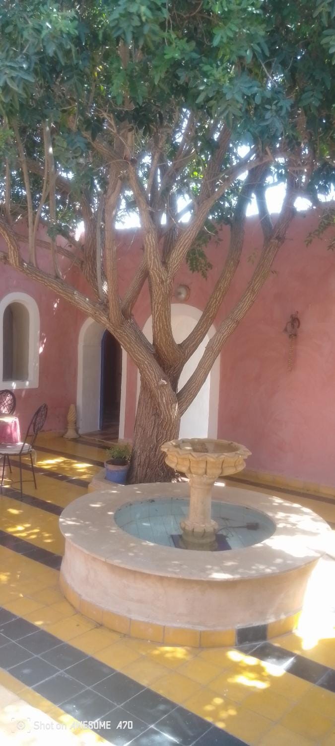 Patio, Day