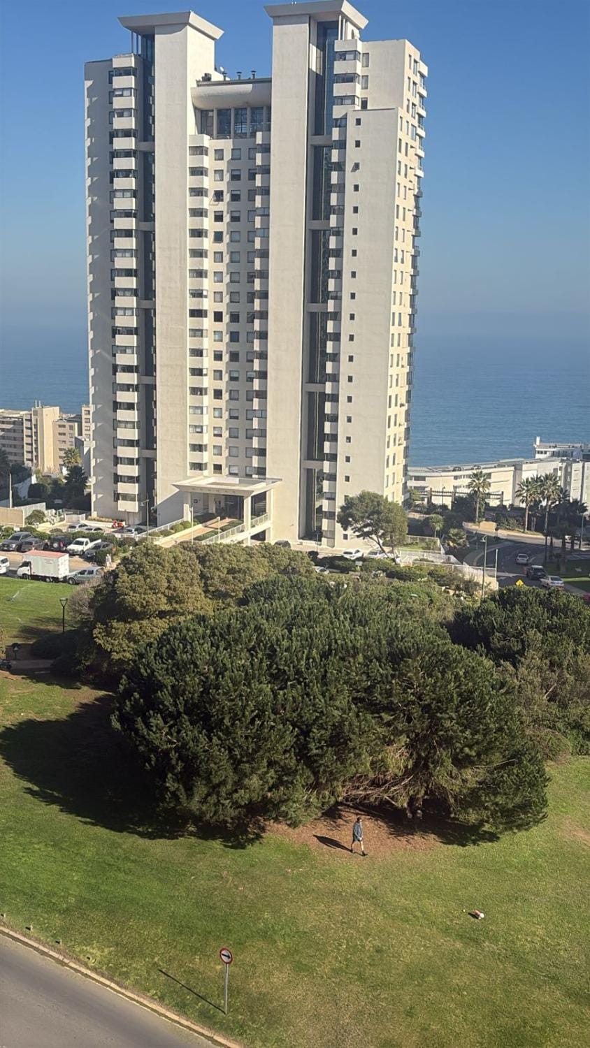 Natural landscape, City view, Sea view