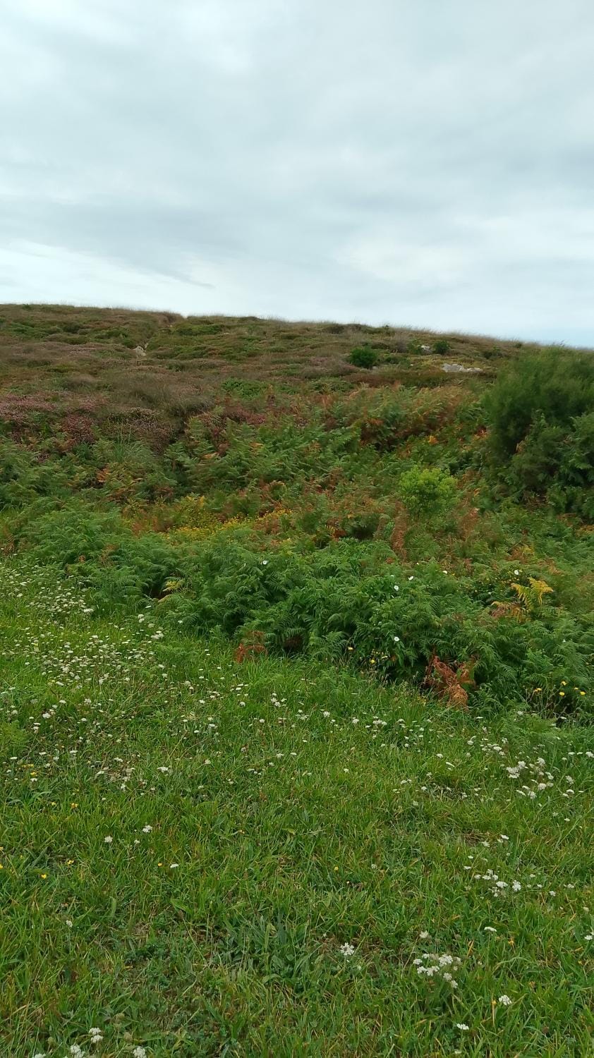 Geis House Campground/ 
RV Resort in Cantabria