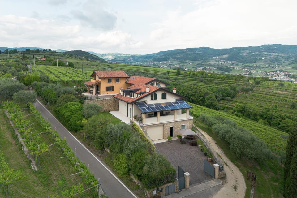 Property building, Nearby landmark, Spring, Day, Neighbourhood, Natural landscape, Bird's eye view, City view, Mountain view, Street view