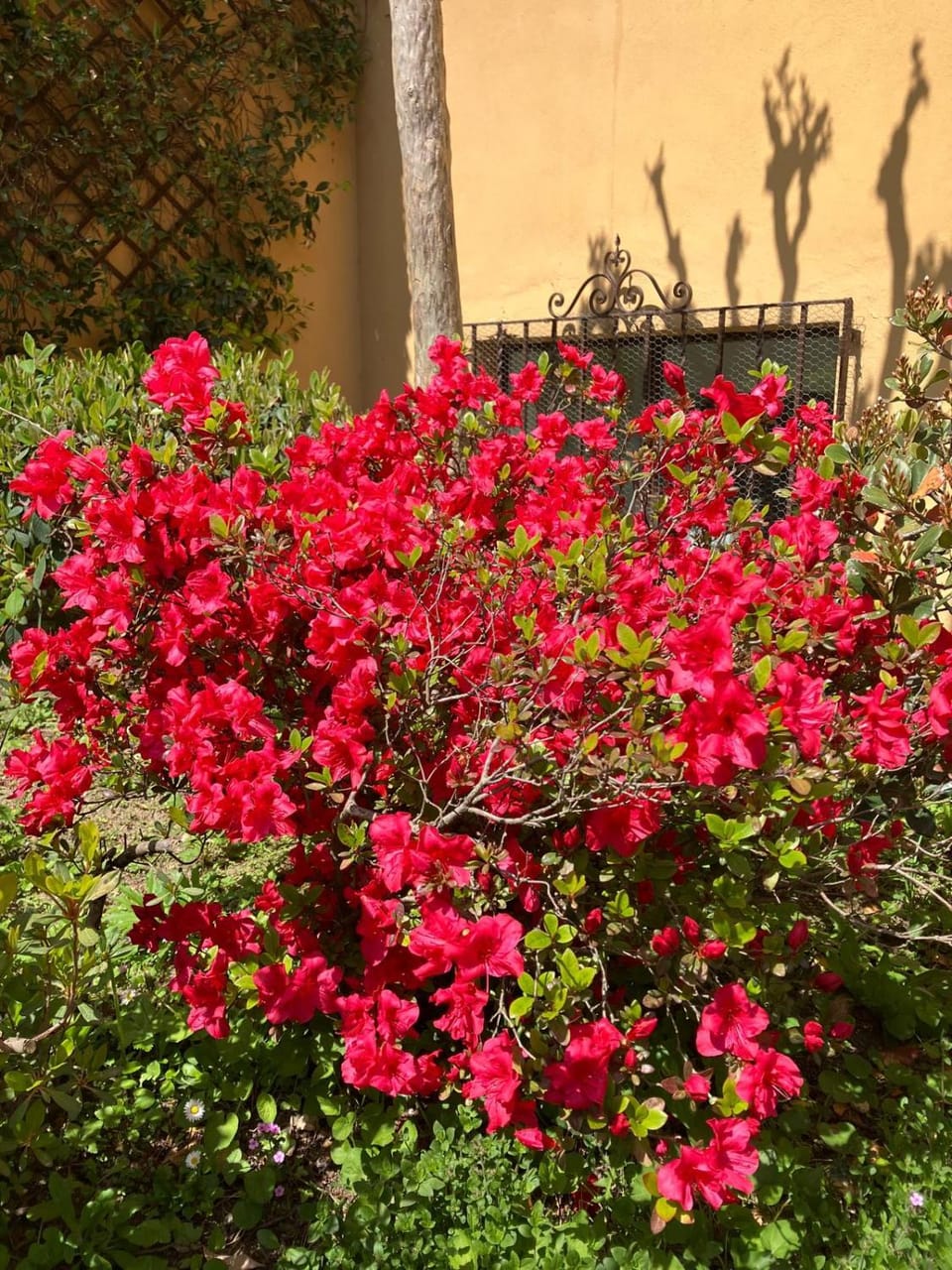 Casa Giorgio Apartment in Lombardy