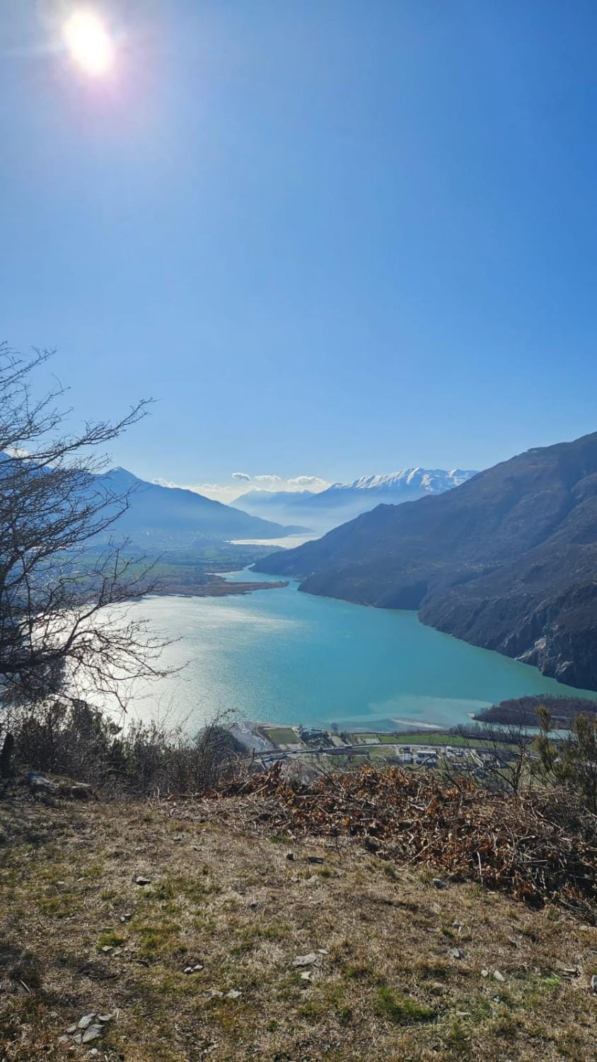 Lake view