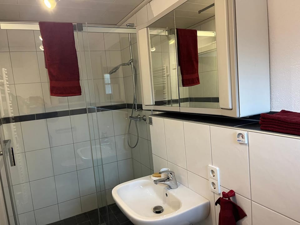 Shower, Toilet, towels