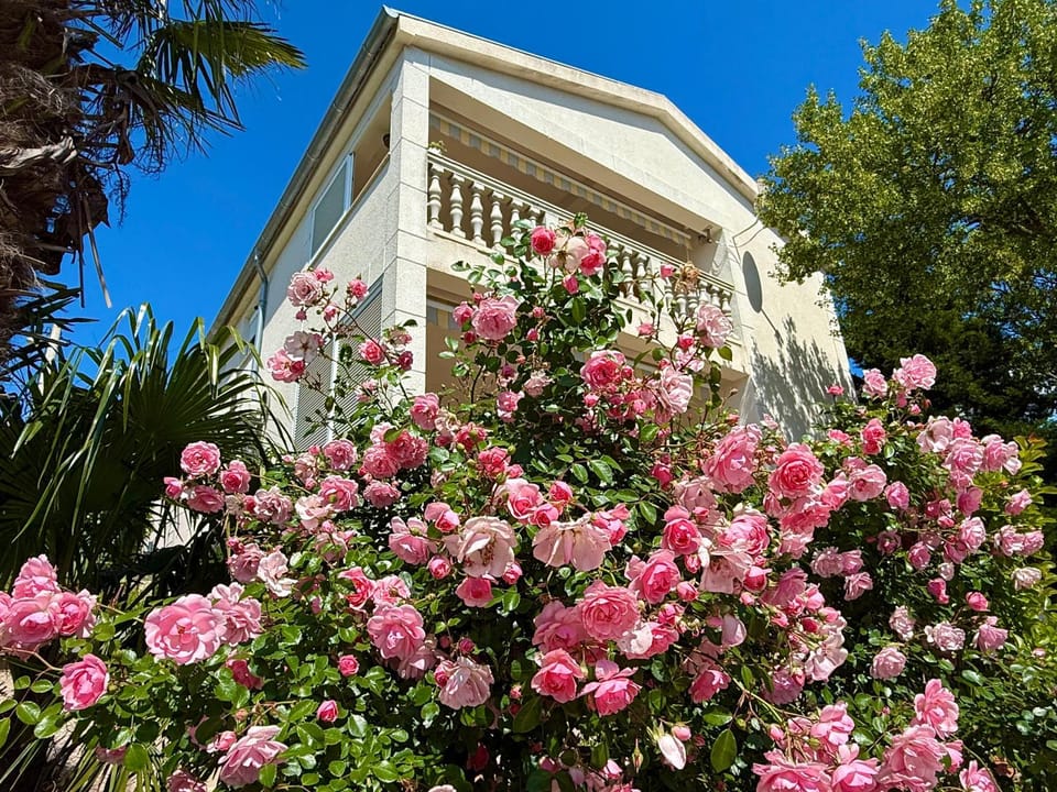 Property building, Spring, Day, Garden
