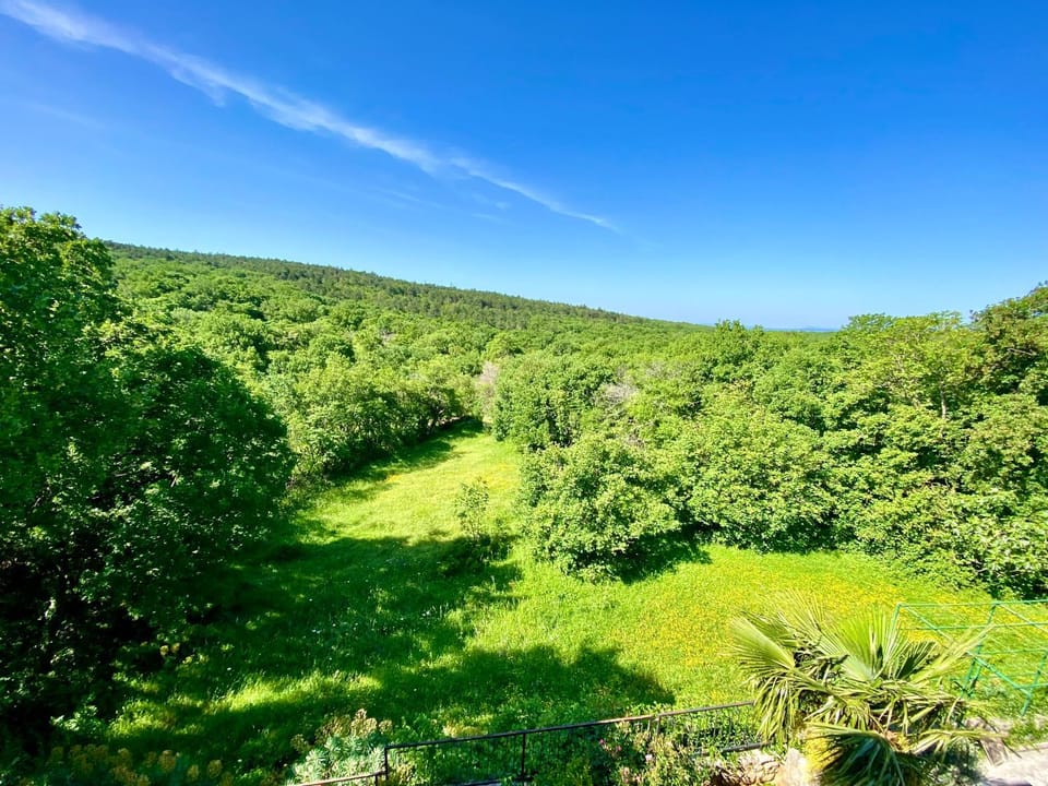 Spring, Day, Natural landscape