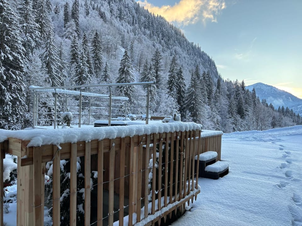 Propriété Bel Air, FANTASTIQUE Apartment in Montriond