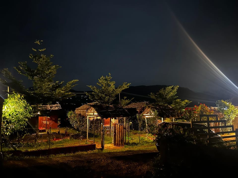 Night, Natural landscape, Garden, Garden view