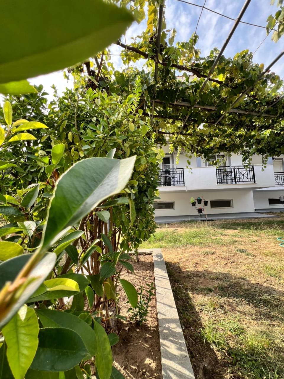Natural landscape, Garden view