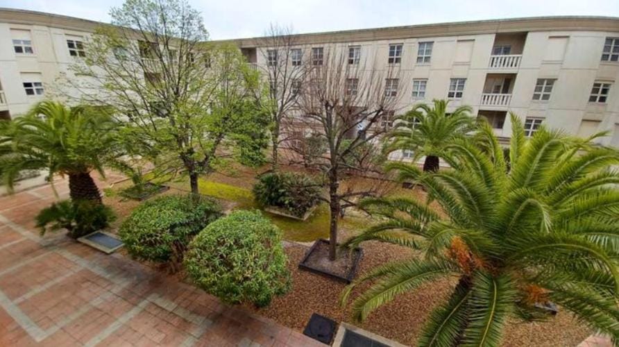 Property building, Garden, Garden view