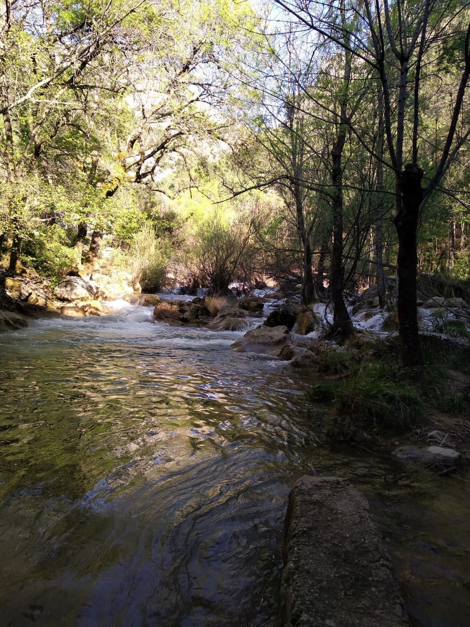 Alojamientos Rural Tejerina Farm Stay in Arroyo Frío
