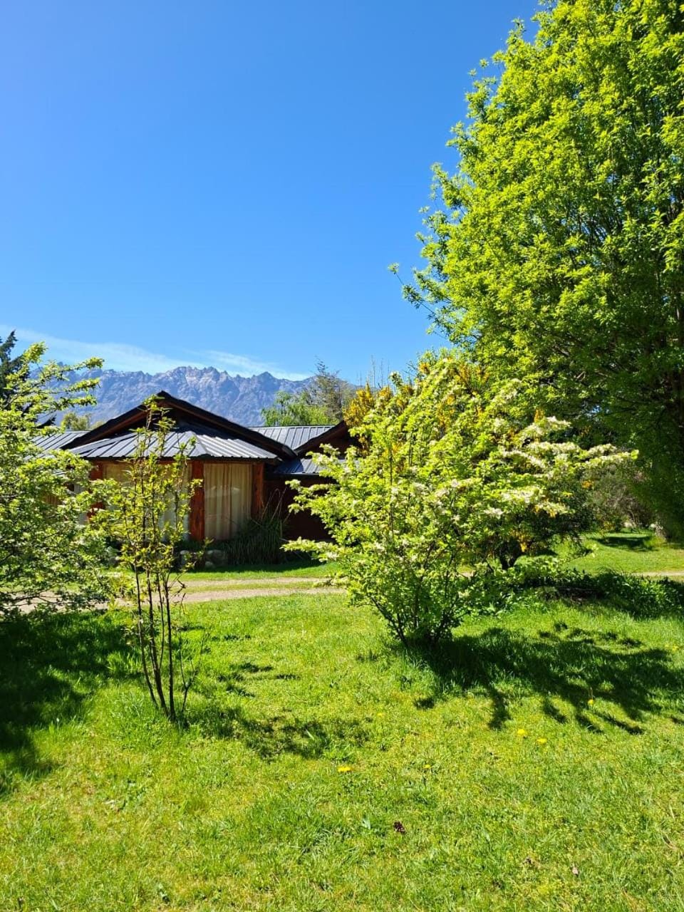 Patio, Natural landscape