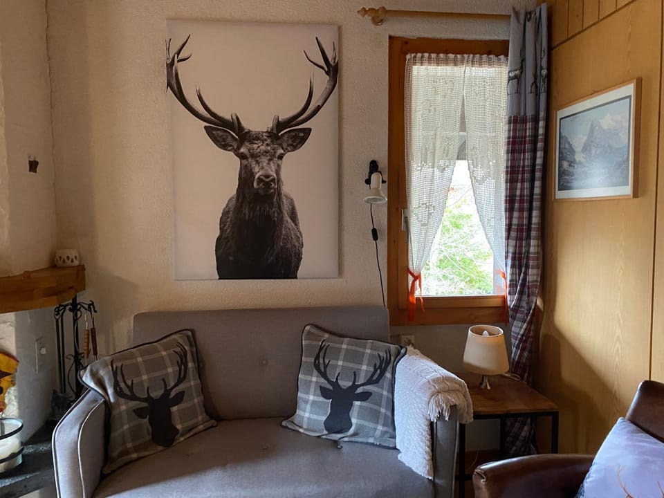 Tolle 2,5 Zimmer Galeriewohnung Apartment in Grindelwald