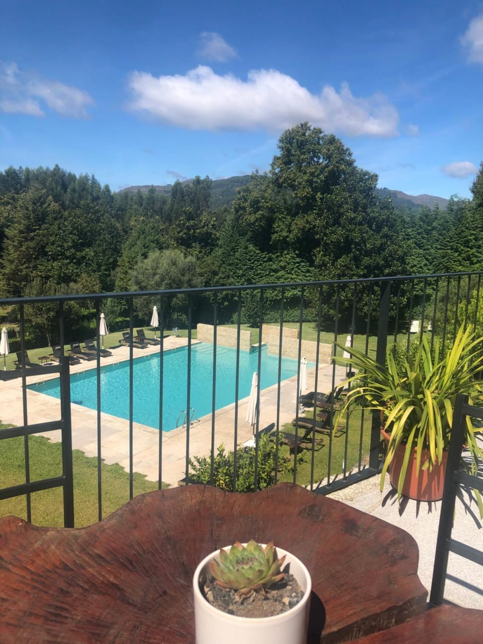 Pool view