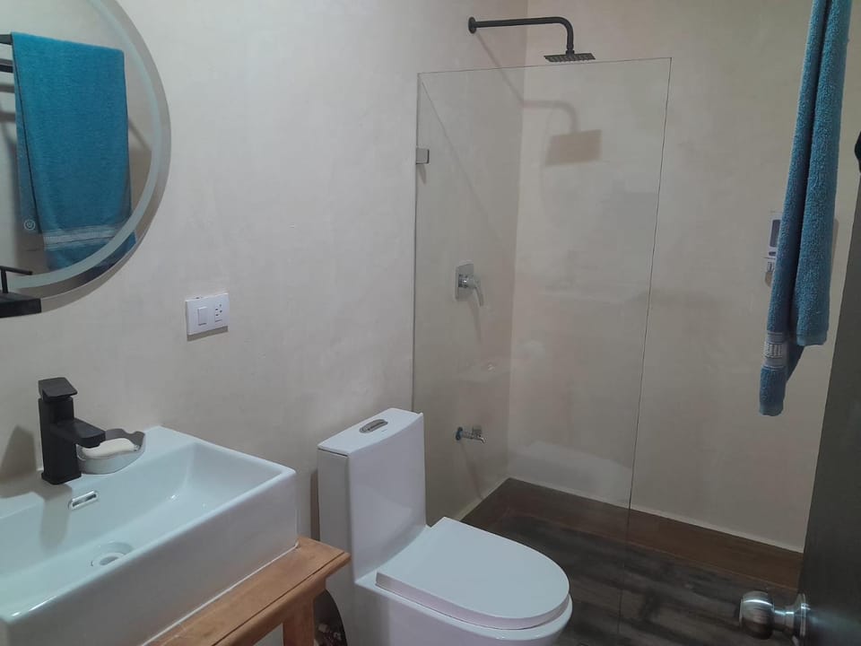 Shower, Toilet, Bathroom, towels
