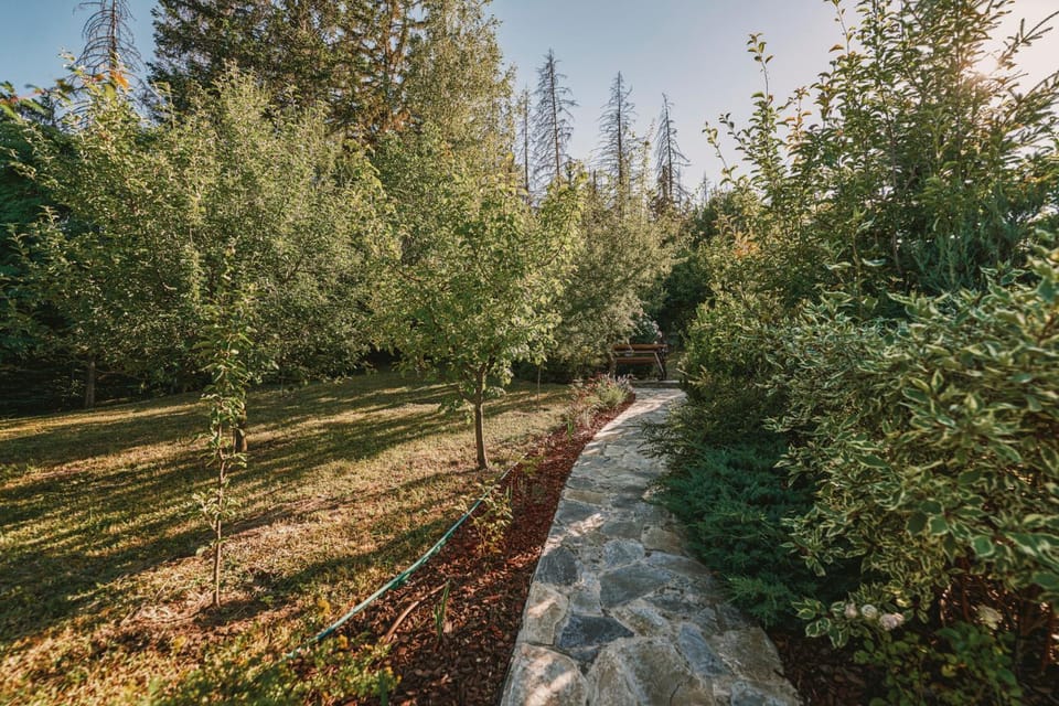 Spring, Day, Natural landscape, Garden, Garden view