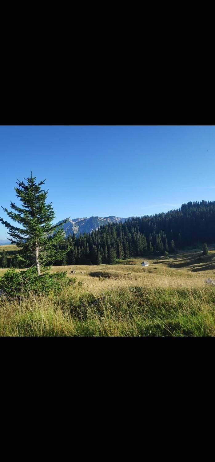 sunny house Zabljak Uskoci House in Montenegro