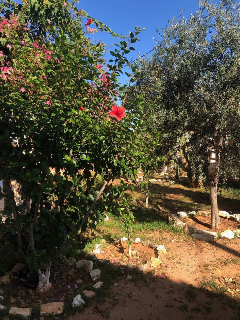 "Spiti Kolet", magnifique villa en bord de plage House in Crete Region