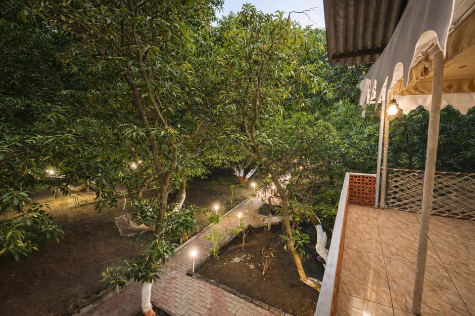 Balcony/Terrace, Garden view