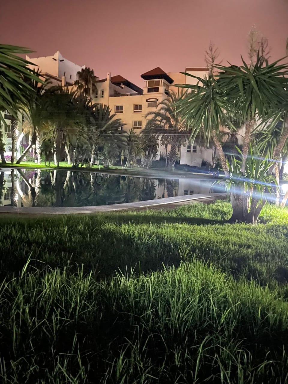Night, Garden, Garden view