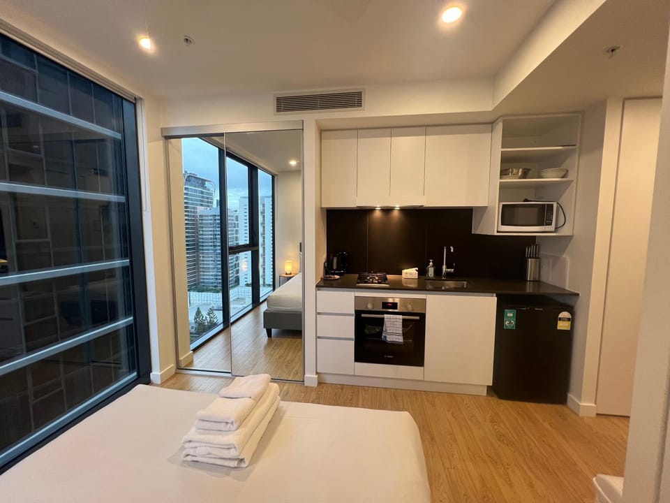 Central Located Cozy Studio in South Brisbane Apartment in Brisbane City