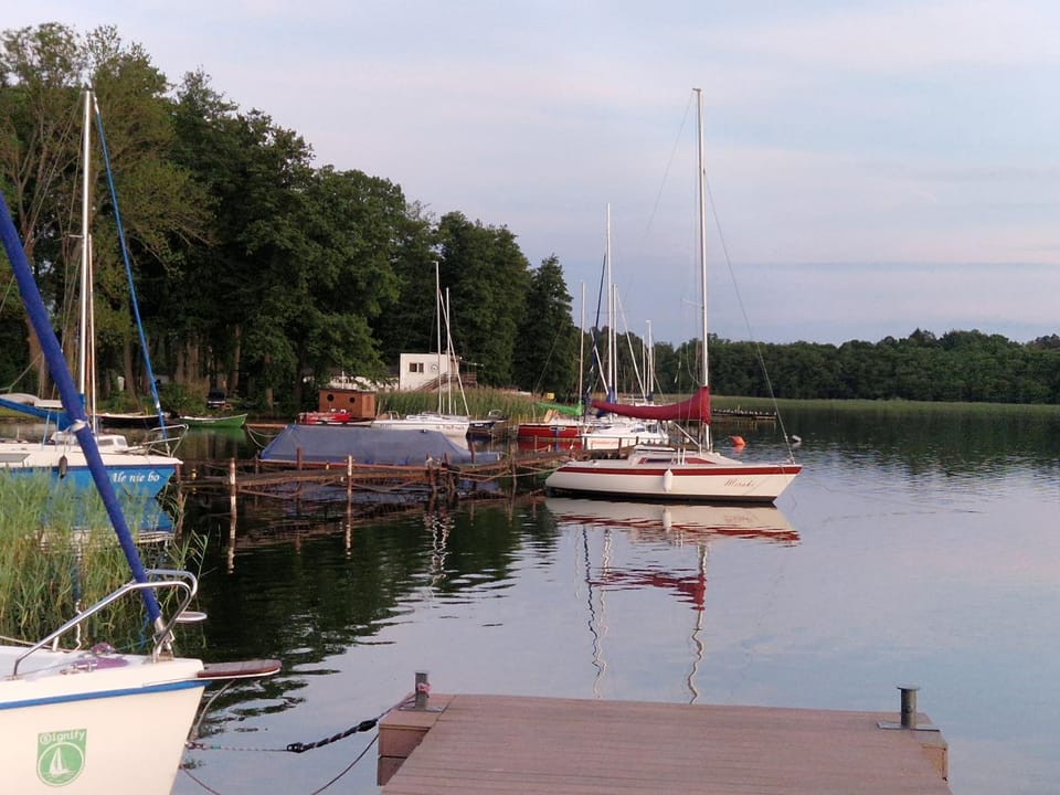 Lake view