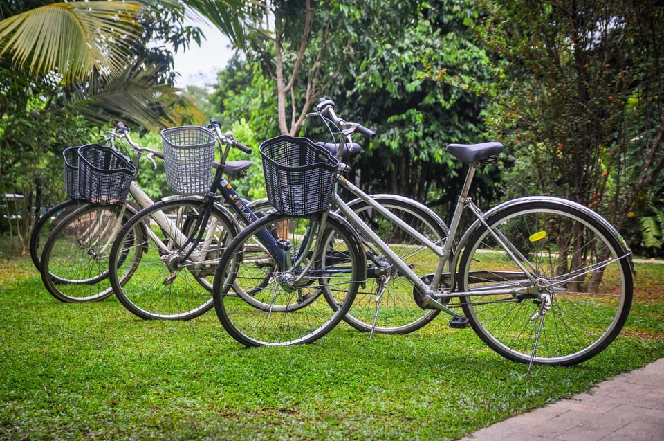 Cycling