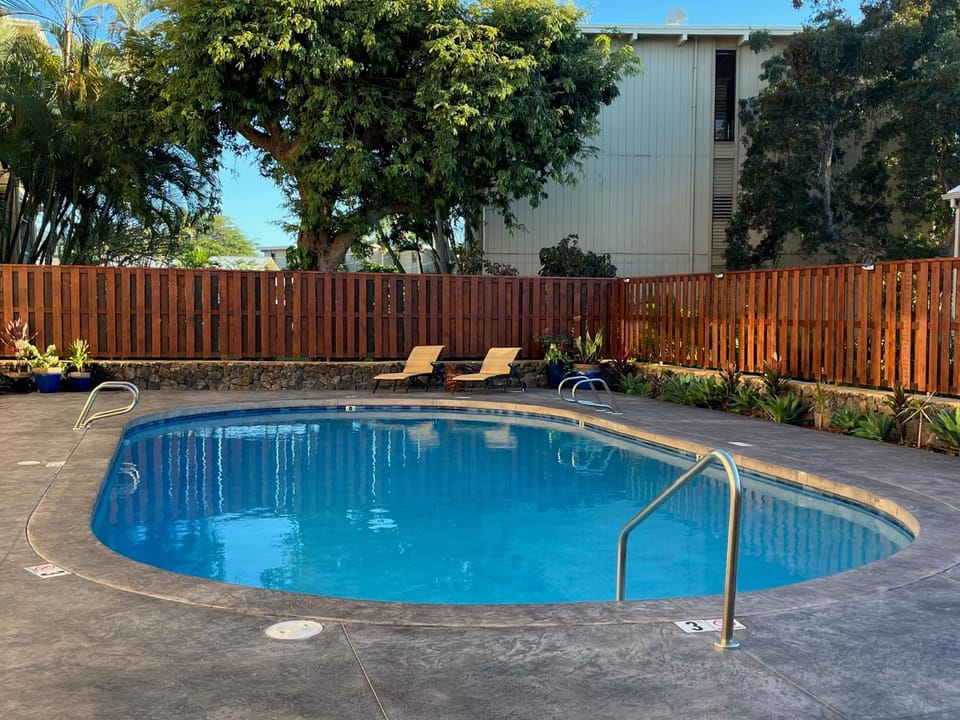 Swimming pool, Swimming pool, sunbed