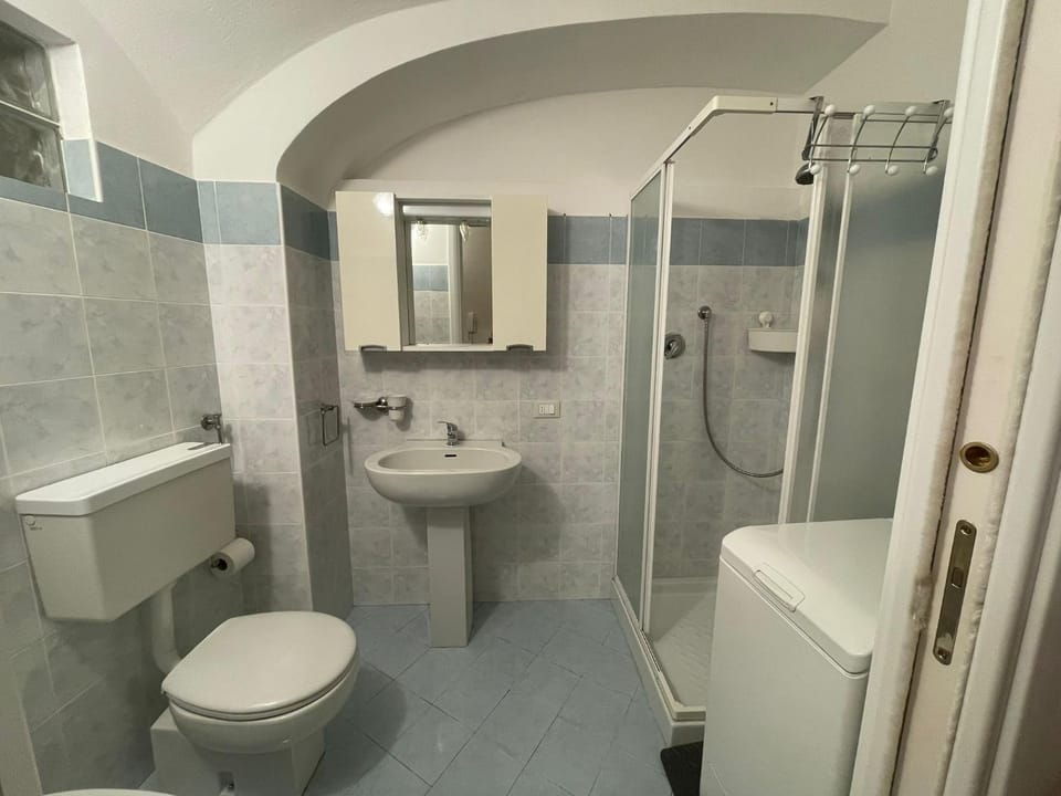 Shower, Toilet, bidet, towels