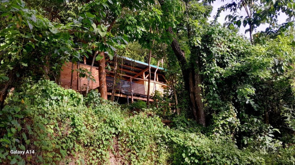 Property building, Natural landscape, Garden view