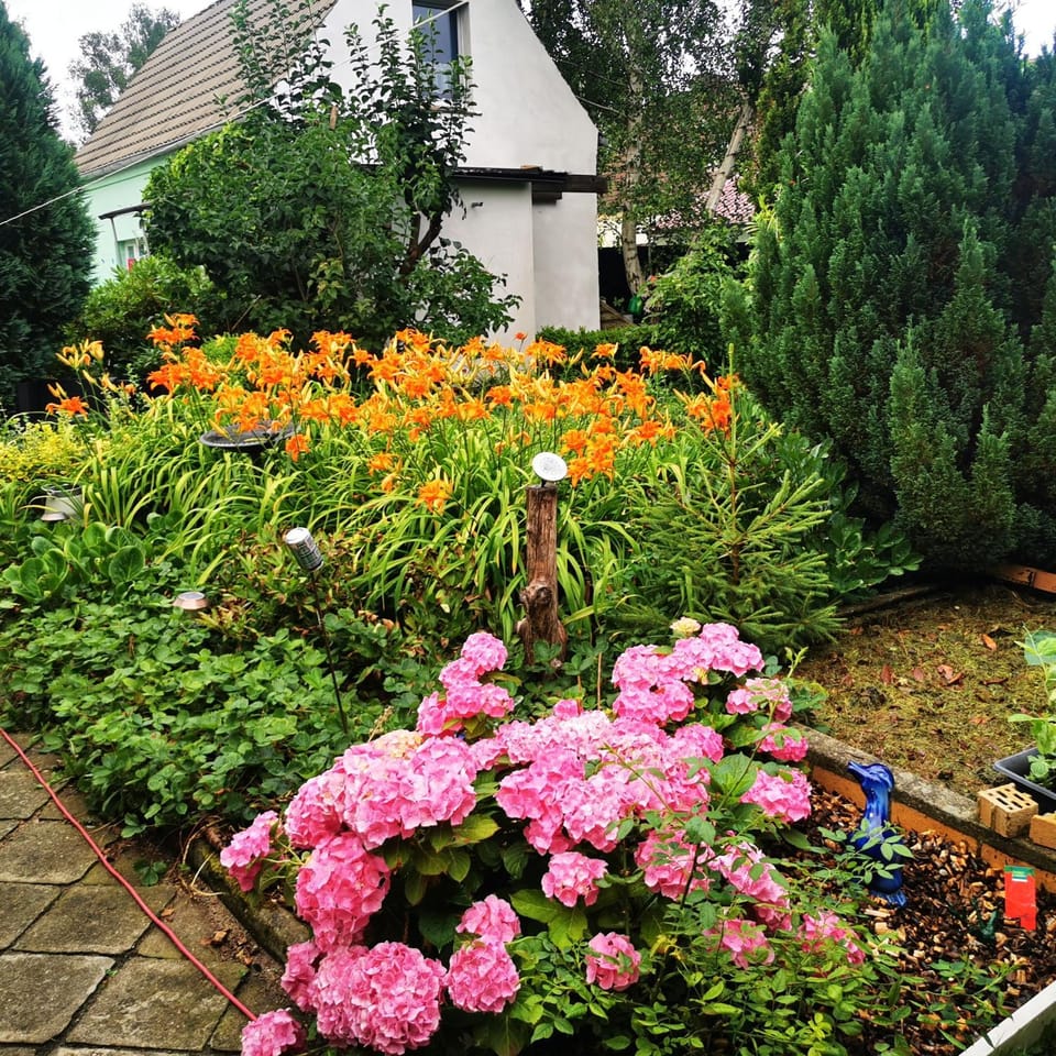 Ferienhaus 1 Brodhagen Apartment in Mecklenburg-Vorpommern, Germany