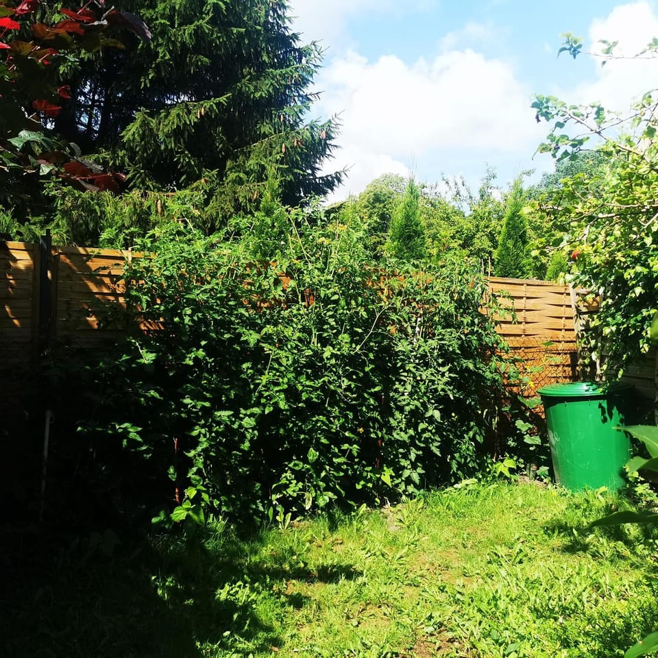 Ferienhaus 1 Brodhagen Apartment in Mecklenburg-Vorpommern, Germany