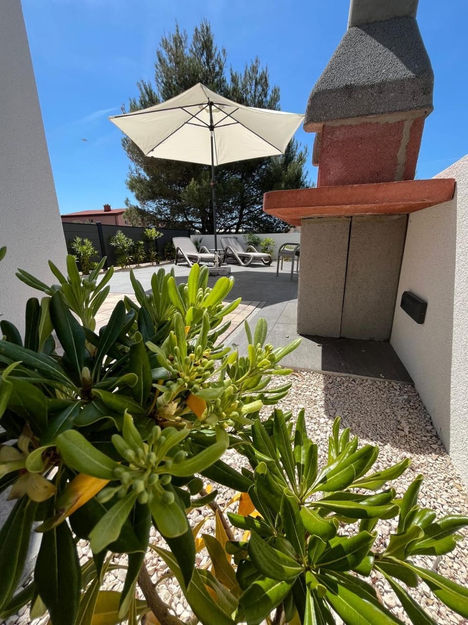 Patio, Garden, Garden view