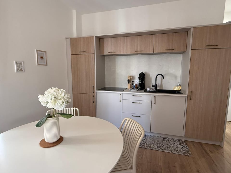 Havre de sérénité coeur de Dijon Apartment in Dijon