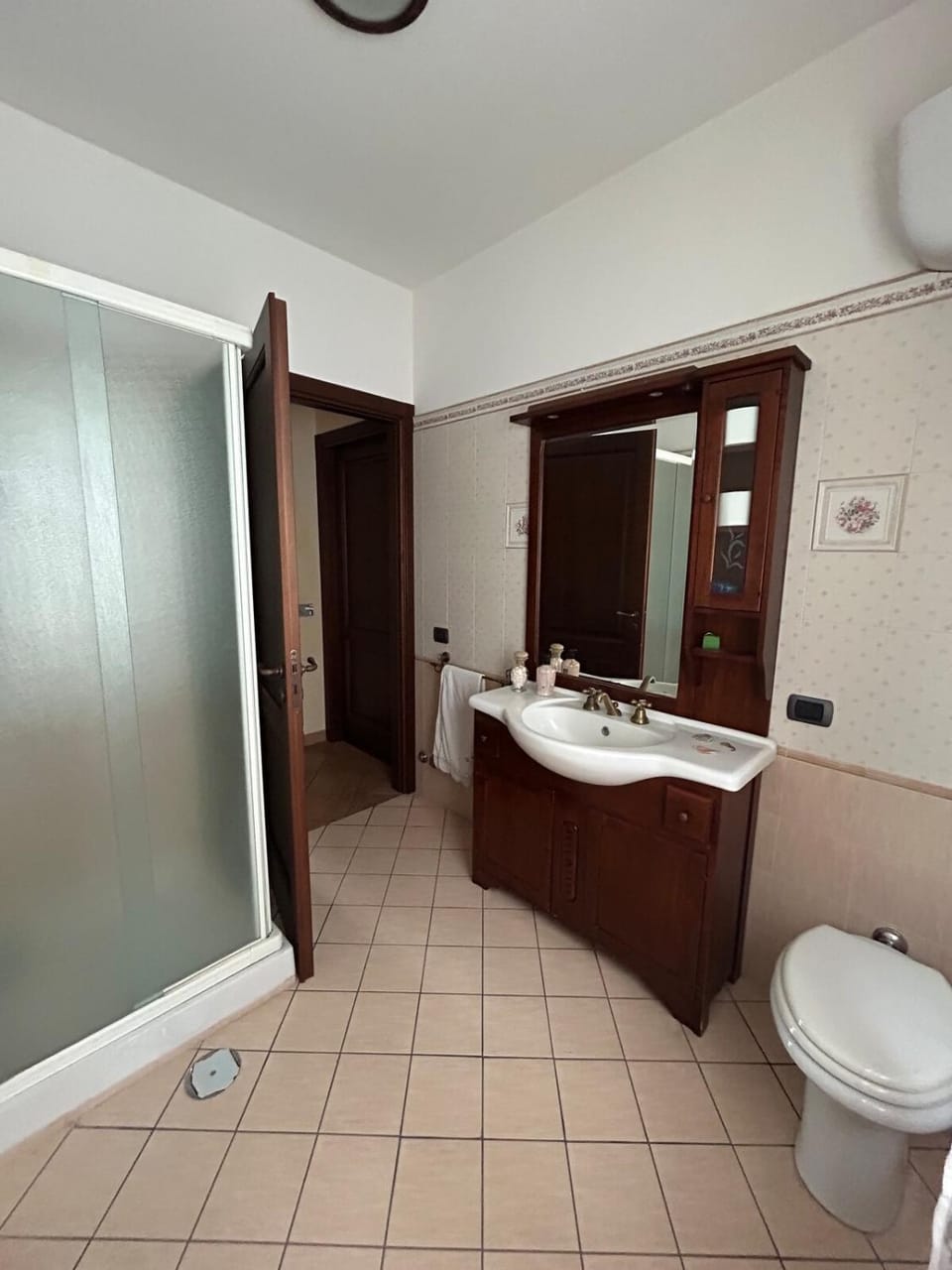 Shower, Toilet, Bathroom, bidet