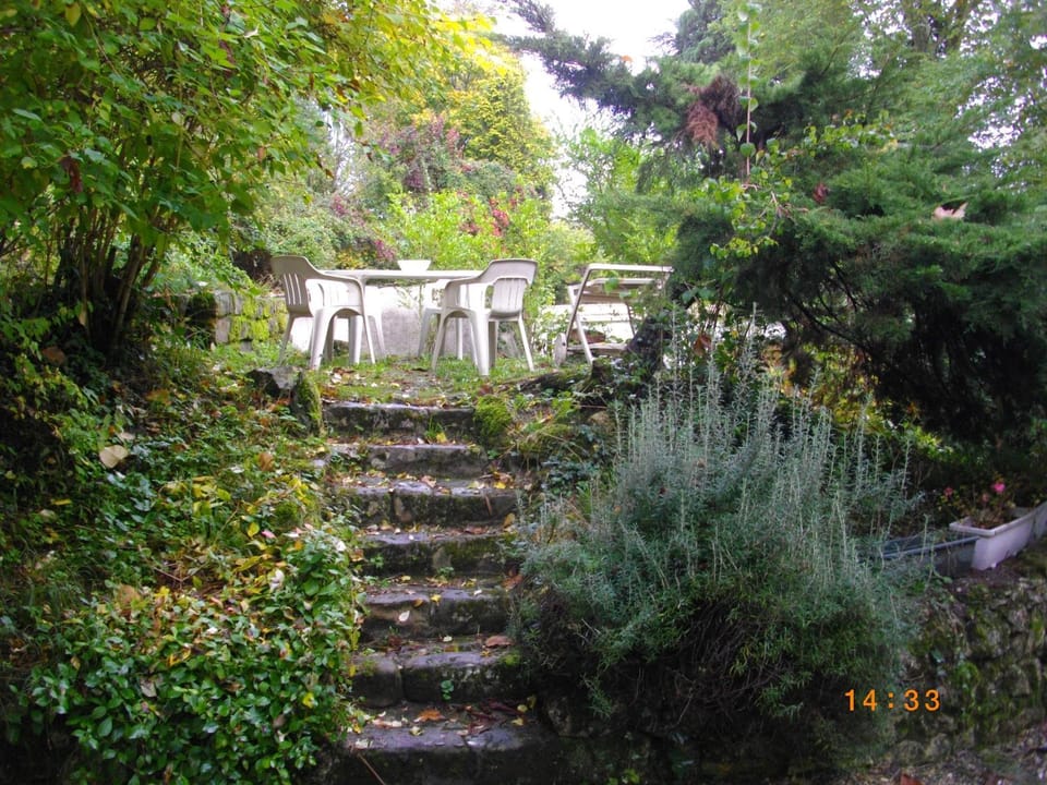 2 pièces avec jardin bord de seine proche forêt Fontainebleau Apartment in Fontainebleau
