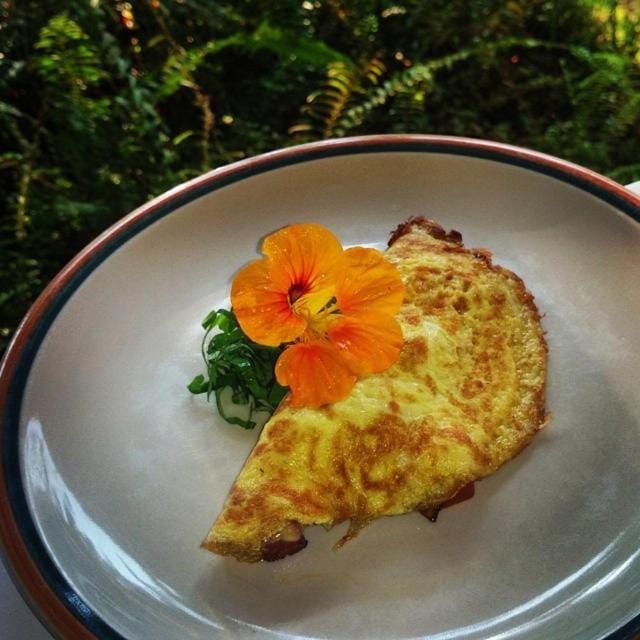 Food close-up