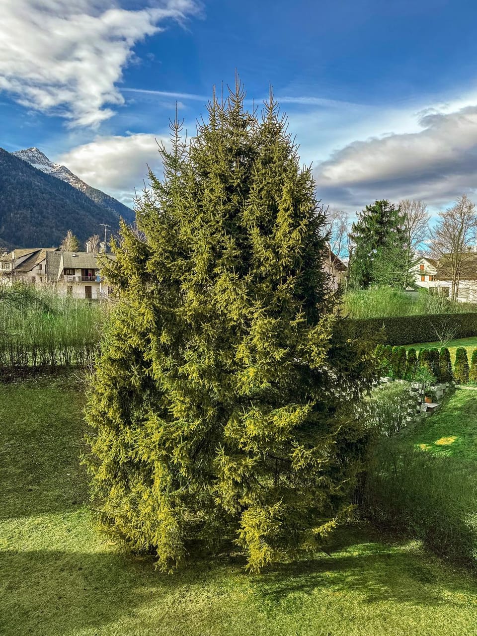 Garden view