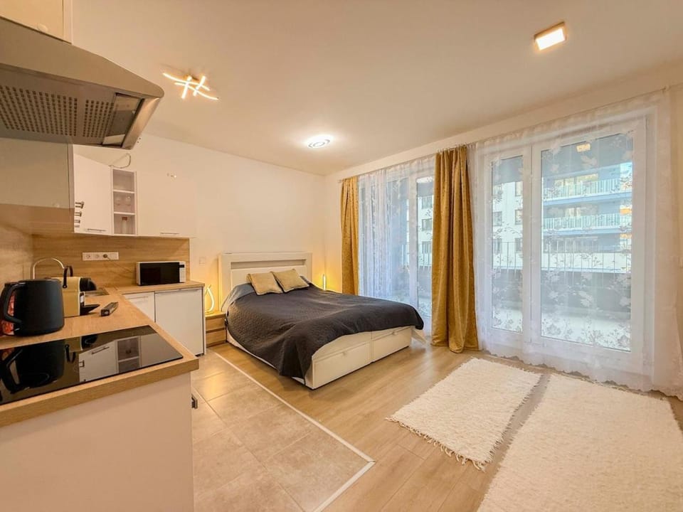 River Danube flat w balcony and FREE guarded parking Apartment in Budapest