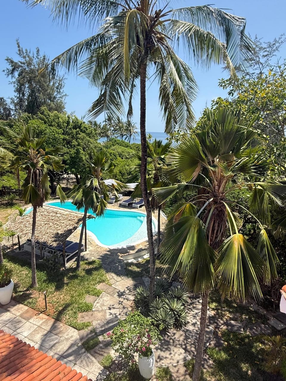 Spring, Day, Garden, Garden, Garden view, Pool view, Swimming pool, sunbed